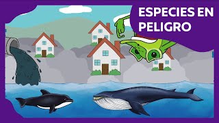 Especies en peligro  Planeta Darwin  Ciencias naturales [upl. by Atined323]