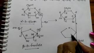 Disachharides Sucrose Maltose and Lactose Chemistry [upl. by Nellad783]