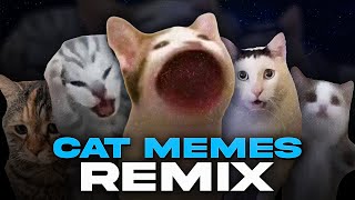 ALL CAT MEMES REMIX [upl. by Ailalue439]