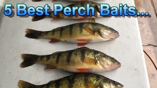 Perch Fishing Tips  The Only 5 Perch Baits That Matter [upl. by Ellekram173]