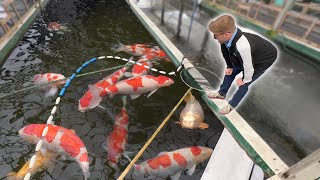 Sakai Fish Farm PLUS Narita Visit BIG FISH [upl. by Aiasi151]