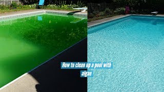 Clean and Vacuum Swimming Pool with Algae [upl. by Bruns]