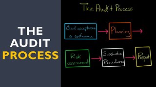 The Audit Process [upl. by Vite]