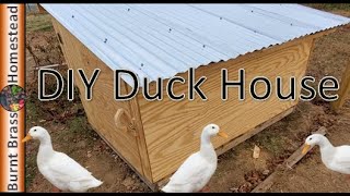 How To Build A Duck House Inexpensive [upl. by Corell]