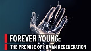 The Promise of Human Regeneration Forever Young [upl. by Lenrow]