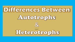 Unlocking the Differences Autotrophs vs Heterotrophs  A Clear Explanation [upl. by Lin]