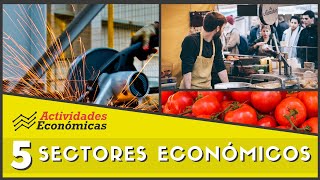 Los 5 sectores económicos Economía Ejemplos y características [upl. by Suiratnauq259]