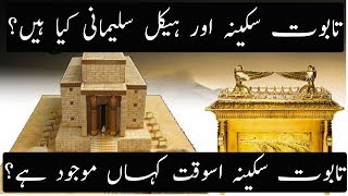 History of Taboot e Sakina And Haikal Sulemani Explained  Urdu Hindi [upl. by Eniawtna]