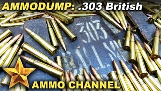 The Ammo Dump Epsiode 2 Lets talk about 303 Brit [upl. by Akinet]