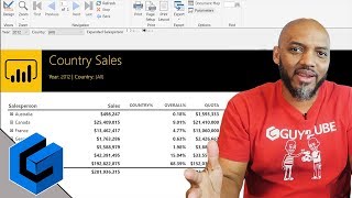 Power BI Paginated Reports Visualizing Data [upl. by Ymmaj]