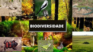 Biodiversidade  Documentário [upl. by Eilyab586]