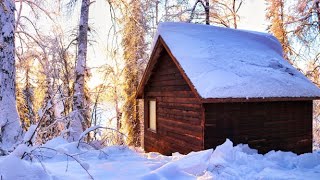 Off Grid Cabin in the Alaskan Wilderness [upl. by Grimona]