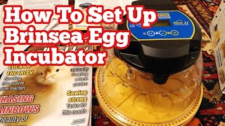 How To Set Up Brinsea Mini II Advance Egg Incubator To Hatch Eggs Easy Step By Step Guide [upl. by Ymot290]