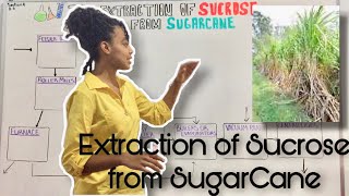 CSEC Chemistry Extracting Sucrose from Sugarcane [upl. by Raynell]