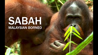 Sabah Malaysian Borneo 2020 [upl. by Aliel]