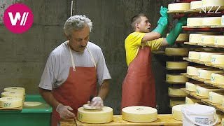 Cheesemaking  visiting a Swiss dairyman [upl. by Clementine941]