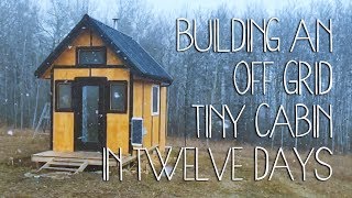 Building an Off Grid Tiny Cabin in Twelve Days [upl. by Allekram]