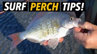 Surf Fishing Tips for Perch 4K [upl. by Nahsab]