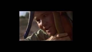 Steve Irwin The Crocodile Hunters Greatest Moments [upl. by Leahplar]