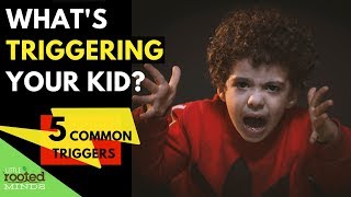 Emotional Regulation for Kids  5 Common Triggers for Dysregulation [upl. by Dnilasor]