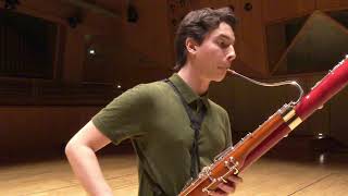 Paganini Caprice No 5  Theo Plath bassoon [upl. by Anihta]