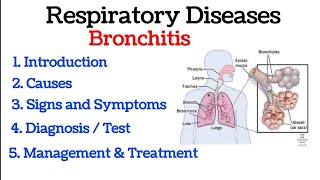 Antibiotic Awareness Chest Cold Bronchitis [upl. by Colp]