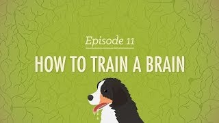 How to Train a Brain Crash Course Psychology 11 [upl. by Magel]