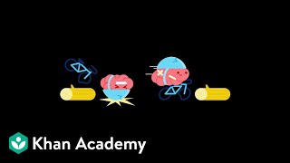 LearnStorm Growth Mindset The Truth About Your Brain [upl. by Brannon]