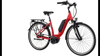 Tiefeinsteiger Qualität Ebike 2021 Gudereit EC3 RT Evo Bosch Active Plus 2021 [upl. by Peisch]