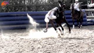 HorseBall  The most impressive equestrian sport [upl. by Hibbs]