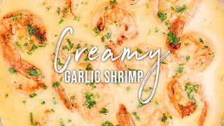 CREAMY GARLIC SHRIMP  EASY DINNER RECIPE [upl. by Assirhc]