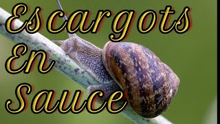 Recette Escargots En Sauce N°240 [upl. by Mayce902]