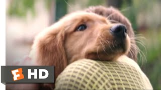 A Dogs Purpose 2017  I Had a Boy Scene 110  Movieclips [upl. by Aihpled]