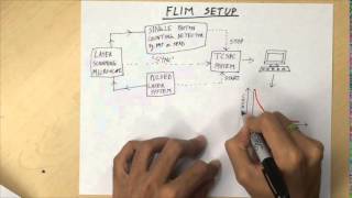 Hach CL17 Chlorine Analyzer Prime Procedure [upl. by Drol938]