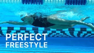 How To Swim Freestyle With Perfect Technique [upl. by Nuahsyar413]