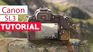 Canon SL3 Tutorial  Beginners Guide [upl. by Hareema]