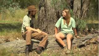 Bush stonecurlews  with Dr Dave [upl. by Hedy350]