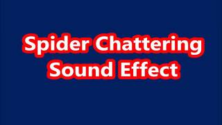 Spider Chattering Sound Effect [upl. by Penny993]