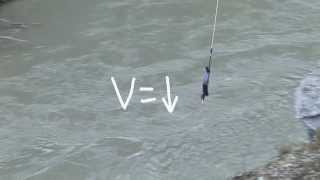 Option D  Acceleration of a Bungy Jump [upl. by Samala182]