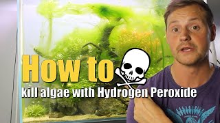 How to kill algae with Hydrogen Peroxide [upl. by Anglim822]