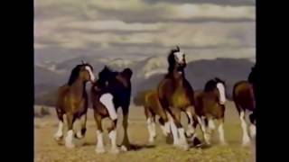 Top 10 Budweiser Super Bowl commercials 1 [upl. by Harriette530]