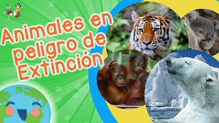 10 Animales en Peligro de Extinción Vídeos Educativos para Niños [upl. by Eiser]