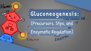 Gluconeogenesis [upl. by Silrac163]