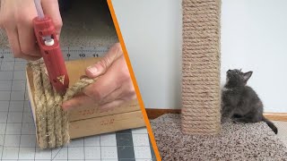 DIY Cat Scratching Post [upl. by Ahseinat941]