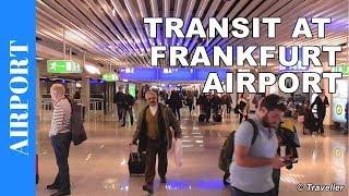 TRANSIT WALK AT FRANKFURT Airport FRA Terminal 1  Connection Flight Transfer Arriving amp Departing [upl. by Zora368]