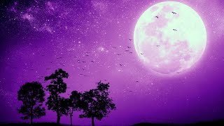 DEEP SLEEP in 5 MINUTES Relaxing Music • Sleep Music • Calming Music Stress Relief • Delta Waves [upl. by Yhtac600]