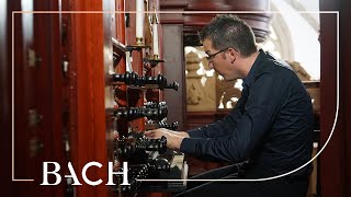 Bach  Vater unser im Himmelreich BWV 737  Jacobs  Netherlands Bach Society [upl. by Earb]