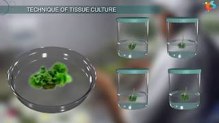 Tissue Culture [upl. by Anwahsit155]