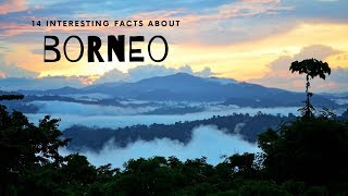 14 Interesting Facts About Borneo [upl. by Natale497]