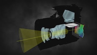 How a DSLR Camera Works [upl. by Eeral544]